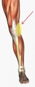 Lateral Knee Pain