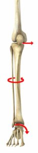 ACL Mechanism