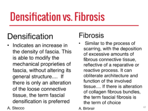 Densification vs Fibrosis