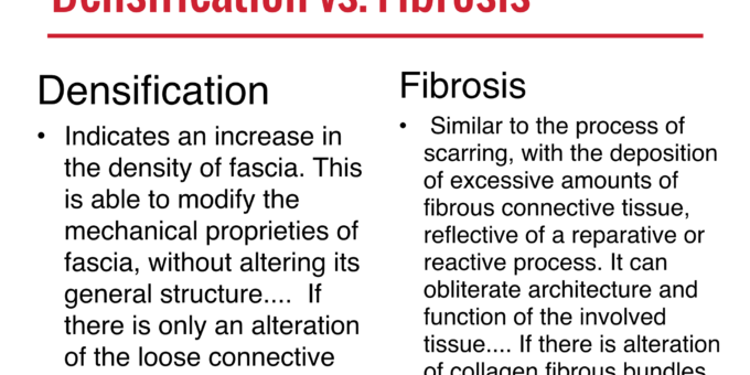 Densification vs Fibrosis