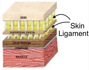 Tweak Taping Explained